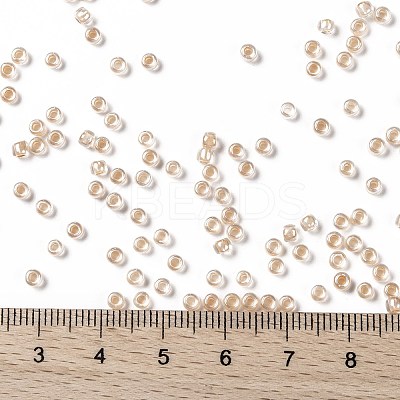 TOHO 8/0 Round Beads X-SEED-TR08-0794-1