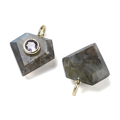 Natural Labradorite Faceted Pendants G-F819-03G-06-1