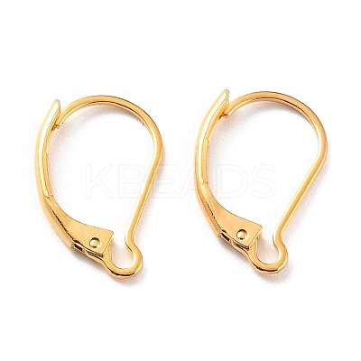 304 Stainless Steel Leverback Earring Findings LS-X-STAS-K233-04G-1