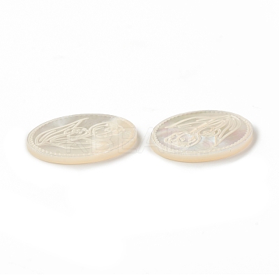 Natural Sea Shell Cabochons SSHEL-T012-14-1