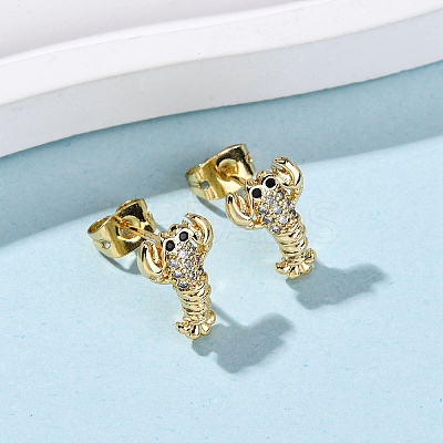 Brass Micro Pave Clear Cubic Zirconia Earrings EJEW-D328-03G-04-1