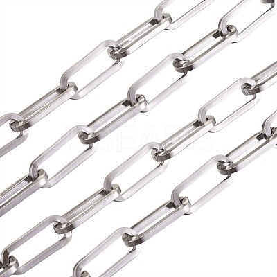 Tarnish Resistant 304 Stainless Steel Paperclip Chains STAS-R100-38-1