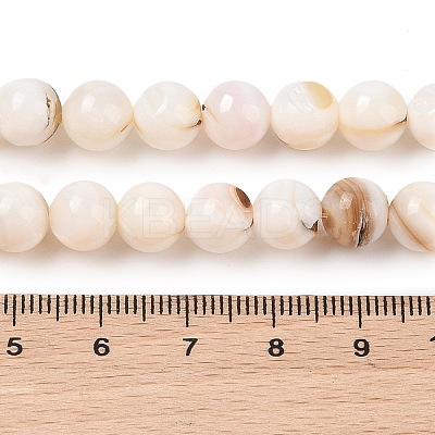 Natural Freshwater Shell Beads Strands SHEL-T011-02-8mm-1