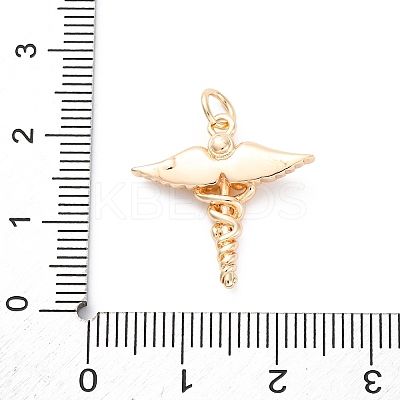 Brass Pendants KK-D360-16G-1