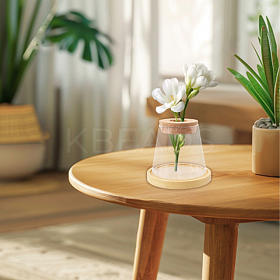 Glass Planter Vase with Wooden Lid and Bamboo Stand AJEW-WH0554-97-1