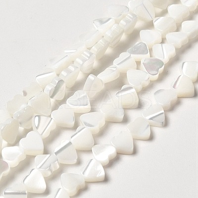 Natural Trochid Shell/Trochus Shell Beads Strands BSHE-E026-19-1