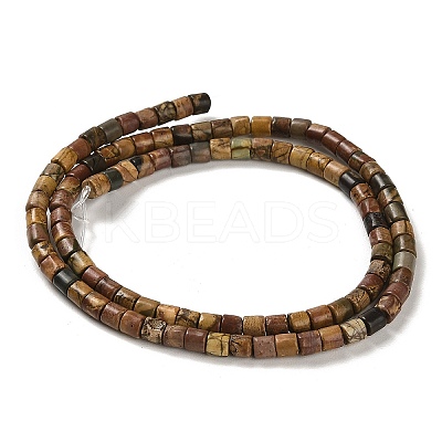 Natural Picasso Stone/Picasso Jasper Beads Strands G-F765-F02-01-1