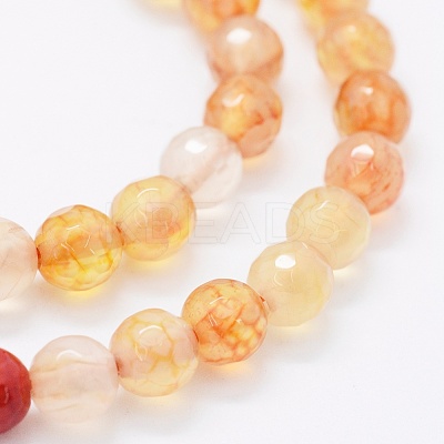 Faceted Natural Agate Beads Strands G-F561-6mm-D09-1
