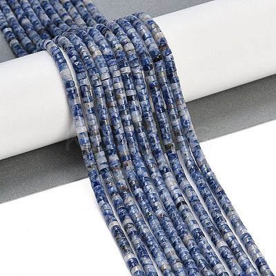 Natural Blue Spot Jasper Beads Strands G-H230-56-1