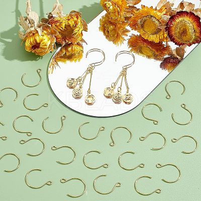 40Pcs Ion Plating(IP) 304 Stainless Steel Earring Hooks STAS-UN0036-42-1