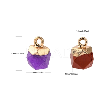 Natural & Synthetic Mixed Stone Charms G-S359-015-1