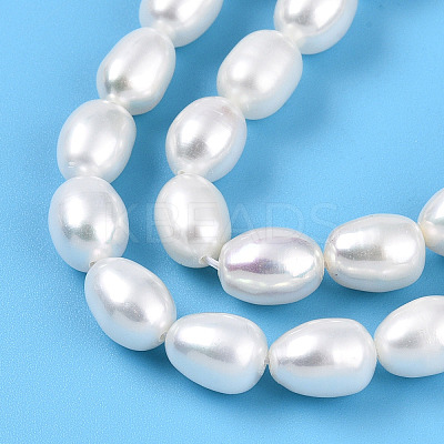 Natural Cultured Freshwater Pearl Beads Strands PEAR-N012-AA-01-1