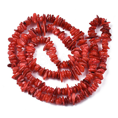 Natural Freshwater Shell Beads Strands SHEL-S278-071A-1