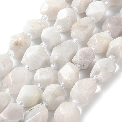 Natural Rainbow Moonstone Beads Strands G-C182-21-01-1