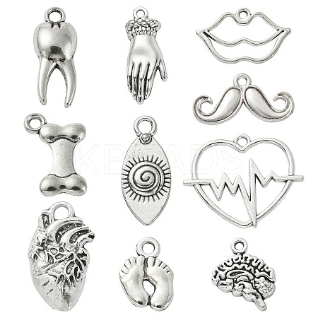 100Pcs 10 Styles Tibetan Style Alloy Charms TIBEP-CJ0002-51-1