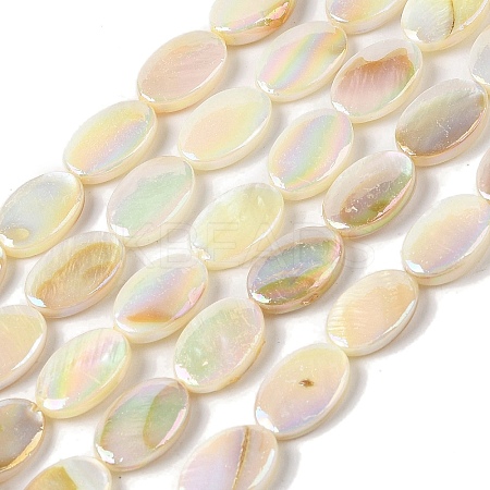 Natural Freshwater Shell Beads Strands BSHE-H018-06-1
