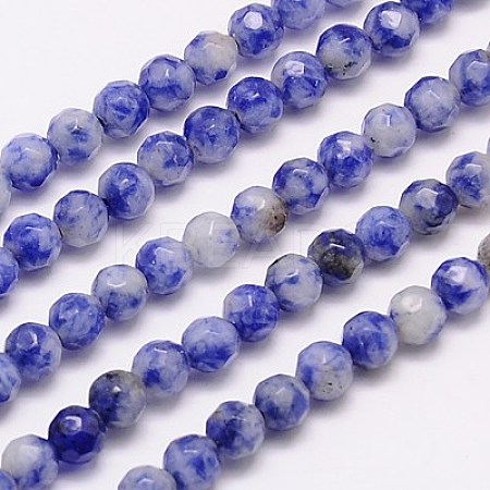 Natural Blue Spot Jasper Beads Strands G-G545-17-1