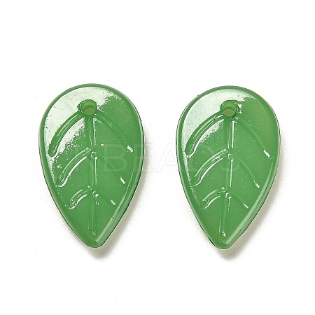 Translucent Acrylic Pendants X-OACR-Z016-10B-1