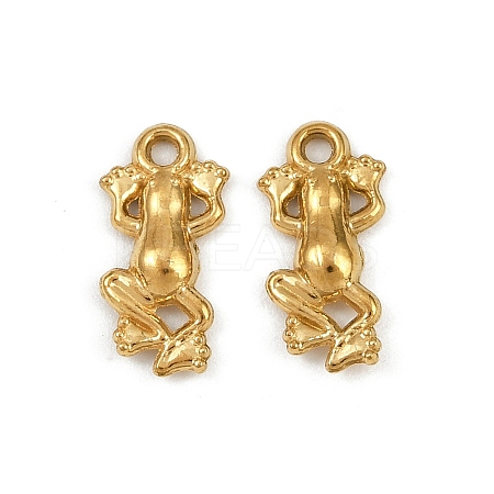 304 Stainless Steel Charms X-STAS-F317-12G-1