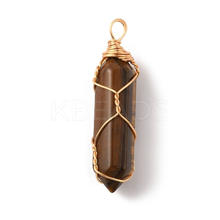 Natural Tiger Eye Double Terminated Pointed Pendants LS-G-TAC0010-04G-05-1