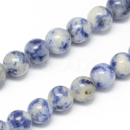 Natural Blue Spot Jasper Bead Strands G-R193-15-4mm-1