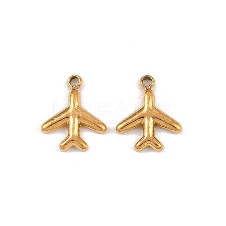 304 Stainless Steel Charms STAS-G357-05G-02-1