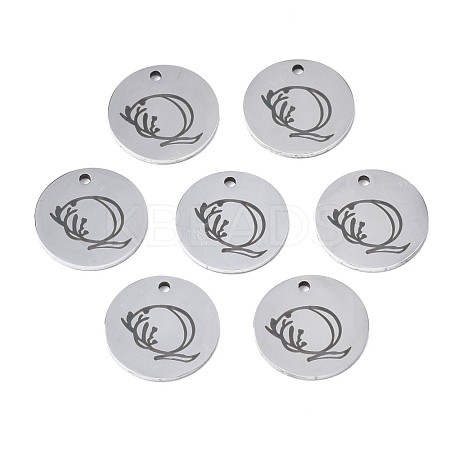 Non-Tarnish 304 Stainless Steel Charms STAS-T059-26P-Q-1