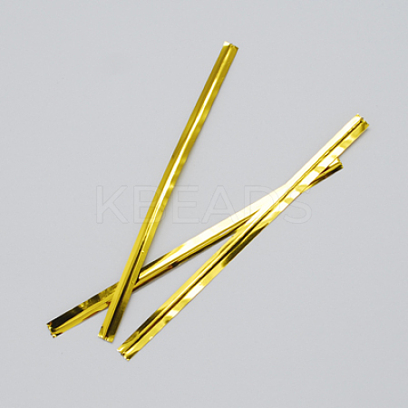 Metallic Wire Twist Ties OCOR-R001-100mm-2-1
