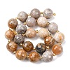 Natural Fossil Coral Beads Strands G-C249-A27-16MM-5