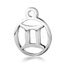 Non-Tarnish 201 Stainless Steel Charms STAS-T014-T505-3-1