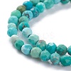 Natural HuBei Turquoise Beads Strands G-A026-A10-2mm-3