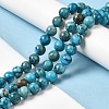 Natural Dyed Jade Beads Strands G-M402-C04-02-2
