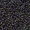 MIYUKI Round Rocailles Beads X-SEED-G009-RR2019-3