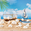 Natural Shell for Crafting Fish Tank Vase Fillers DIY-WH0002-98-5