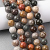 Natural Alashan Agate Beads Strands G-H343-D05-12mm-A-1
