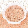 Picasso Glass Seed Beads SEED-Q041-02E-2
