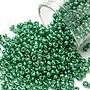 8/0 Glass Seed Beads X1-SEED-A017-3mm-1114-1