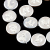 Plating Natural Freshwater Shell Beads Strands SHEL-N026-225A-3