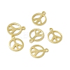 Rack Plating Brass Charms X-KK-C007-08G-1