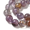 Natural Purple Phantom Quartz Purple Lodolite Quartz Beads Strands G-S333-10mm-030-01-3
