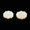 Natural Freshwater Shell Beads SHEL-T007-02-5