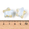 Transparent Resin Enamel Beads RESI-N043-02B-3
