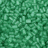 FGB Frosted Transparent Glass Seed Beads SEED-N013-05A-09-3