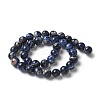 Natural South Africa Sodalite Beads Strands X-G-S259-35-10mm-6