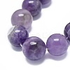 Natural Amethyst Beads Strands G-G791-11-B04-3
