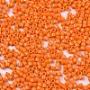FGB 11/0 Grade A Glass Seed Beads SEED-S030-1019-2
