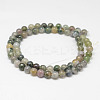 Natural Moss Agate Beads Strands X-G-F342-01-6mm-2