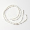 Dyed Natural Freshwater Shell Rondelle Bead Strands X-BSHE-O016-19D-2