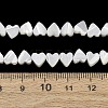 Natural Trochid Shell/Trochus Shell Beads Strands SH-CBA2978-10-4