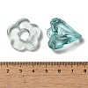 Transparent Acrylic Beads MACR-K359-05-3